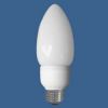 Fluorescent Lamp Manuf...