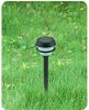 solar   lawn  light