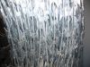 razor barbed wire