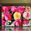LED Display with  7.62...