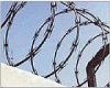 Razor Barbed Wire