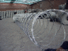 Razor Wire