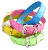pet collar