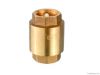 brass check valve