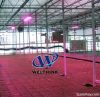 LED grow light 90W, 10...