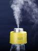 Bottle Cap Humidifier ...