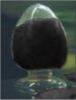 iron oxide black