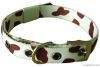 dog collar and leash