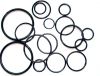 ptfe/fep/teflon o-ring