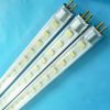 LED fluorescent lamp
