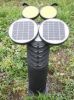 Solar Lawn Light