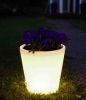 flower pot light with ...
