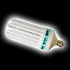 plant growing energy s...
