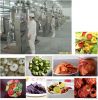 Vegetable and Fruit Ch...