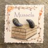 Mussel shell earrings,...