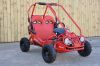TBM MINI 163cc Go-Kart...
