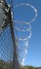 Razor Barbed Wire
