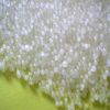 caustic soda