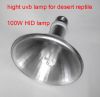 reptile uv light PAR38...