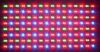 LED DISPLAY