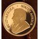 GOLD KRUGER COINS