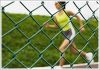 Chain Link Fence