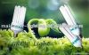 Plant Grow Light CFL 5...