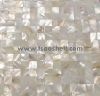 fresh water shell tile...