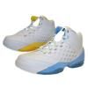 Basketball Shoe (AJ5.5...