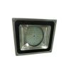 LED flood light FS150W...