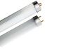 LED T8, T10, T5 Tube, ...