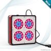 Apollo LED grow lights
