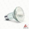 LED spot lamps