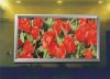 LED Display Full Color...