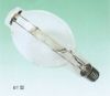 Metal Halide Lamp