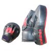 BOXING FOCUS MITT