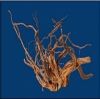 Desert driftwood (Red ...