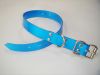 pet collar