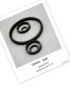carbon graphite seal