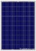Poly Solar Module 100W