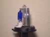 HID + Halogen Bulb HID...