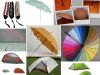 Umbrellas (umbrellas, ...