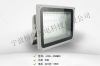 LED flood light