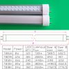T8 LED Tube Light