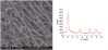 Inorganic TiO2 Nanofiber