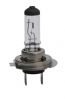 Auto Bulb- H7