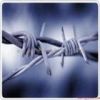 Barbed wire