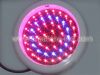 led grow light