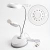 LED Reading Lamp