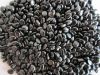 Black Color Master Batch
